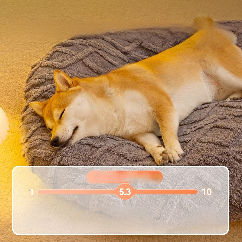 洗える 犬用 クッションマット グレー
