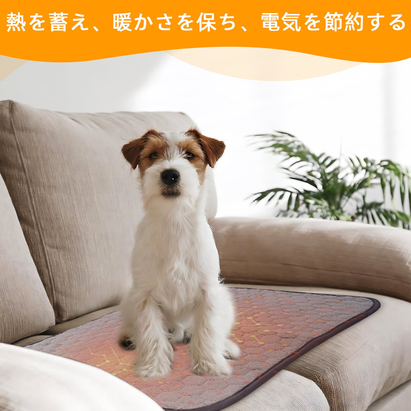 Sunframe Washable Pet Pee Pads coral fleece