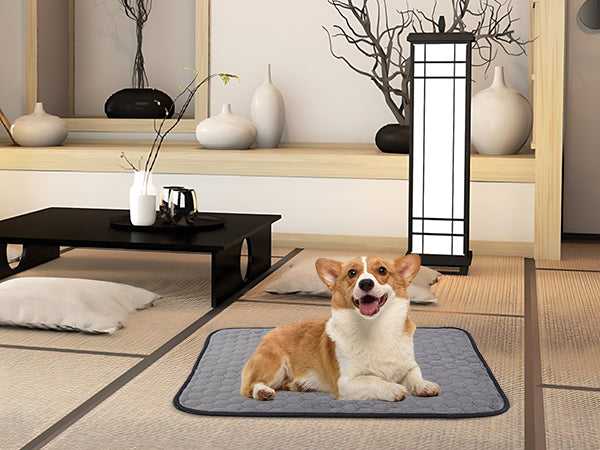 Sunframe Washable Pet Pee Pads coral fleece