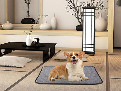 Sunframe Washable Pet Pee Pads coral fleece