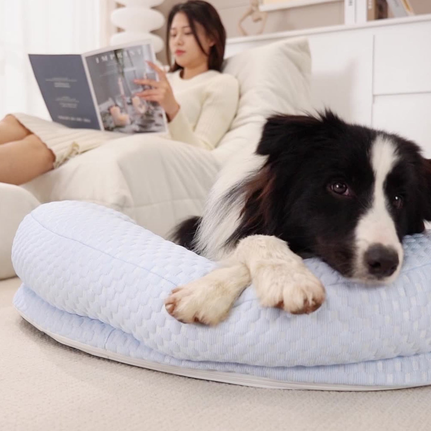 冷感 犬 マット 夏 枕付き